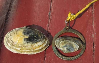 clam_ring_with_clams