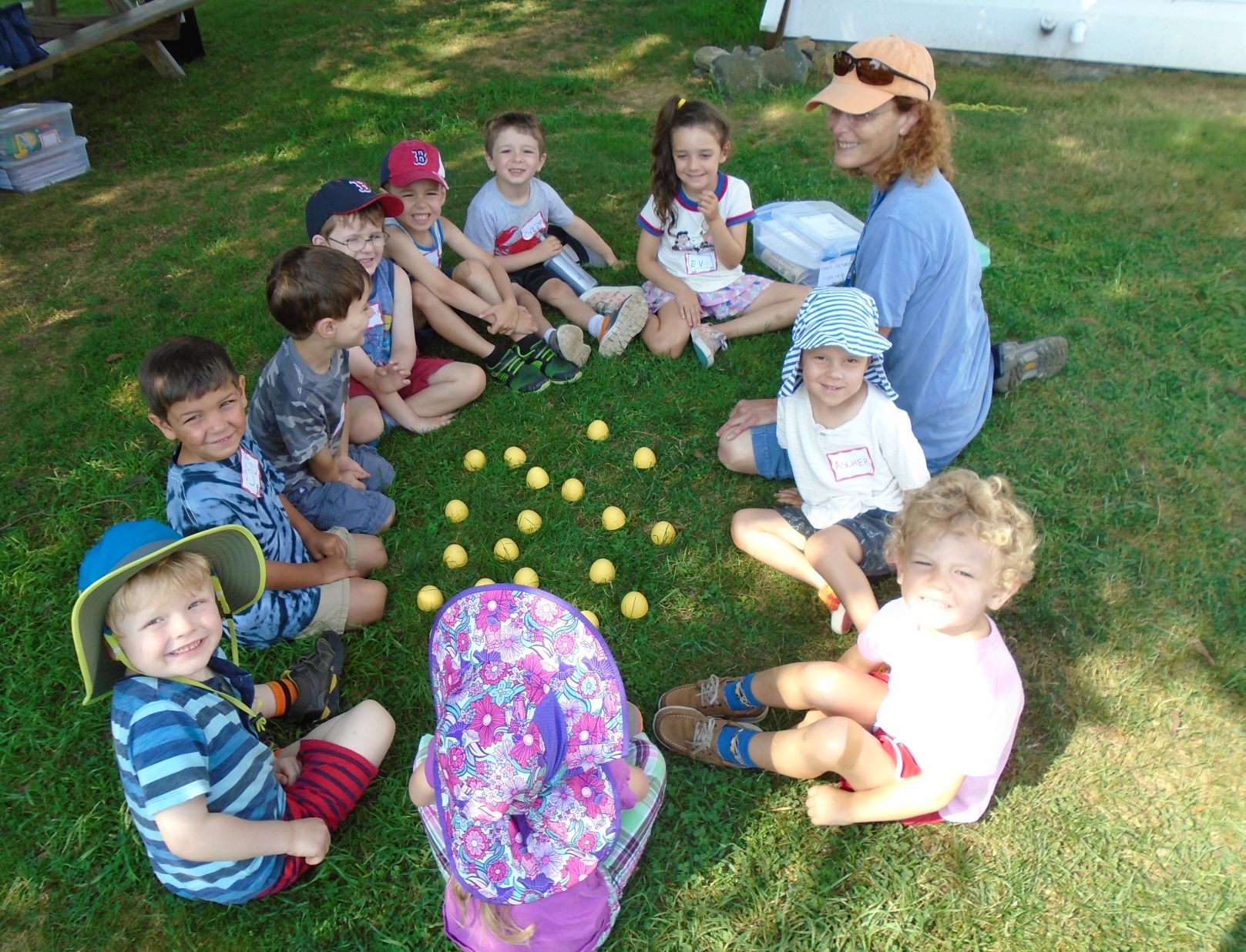 young yellow chicks on Little farm
