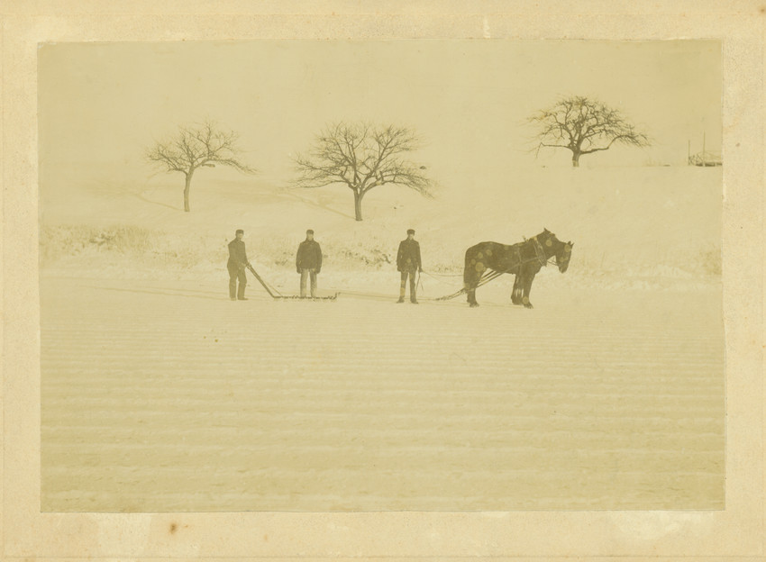 Three men cut ice using a device harnessed to two horses
