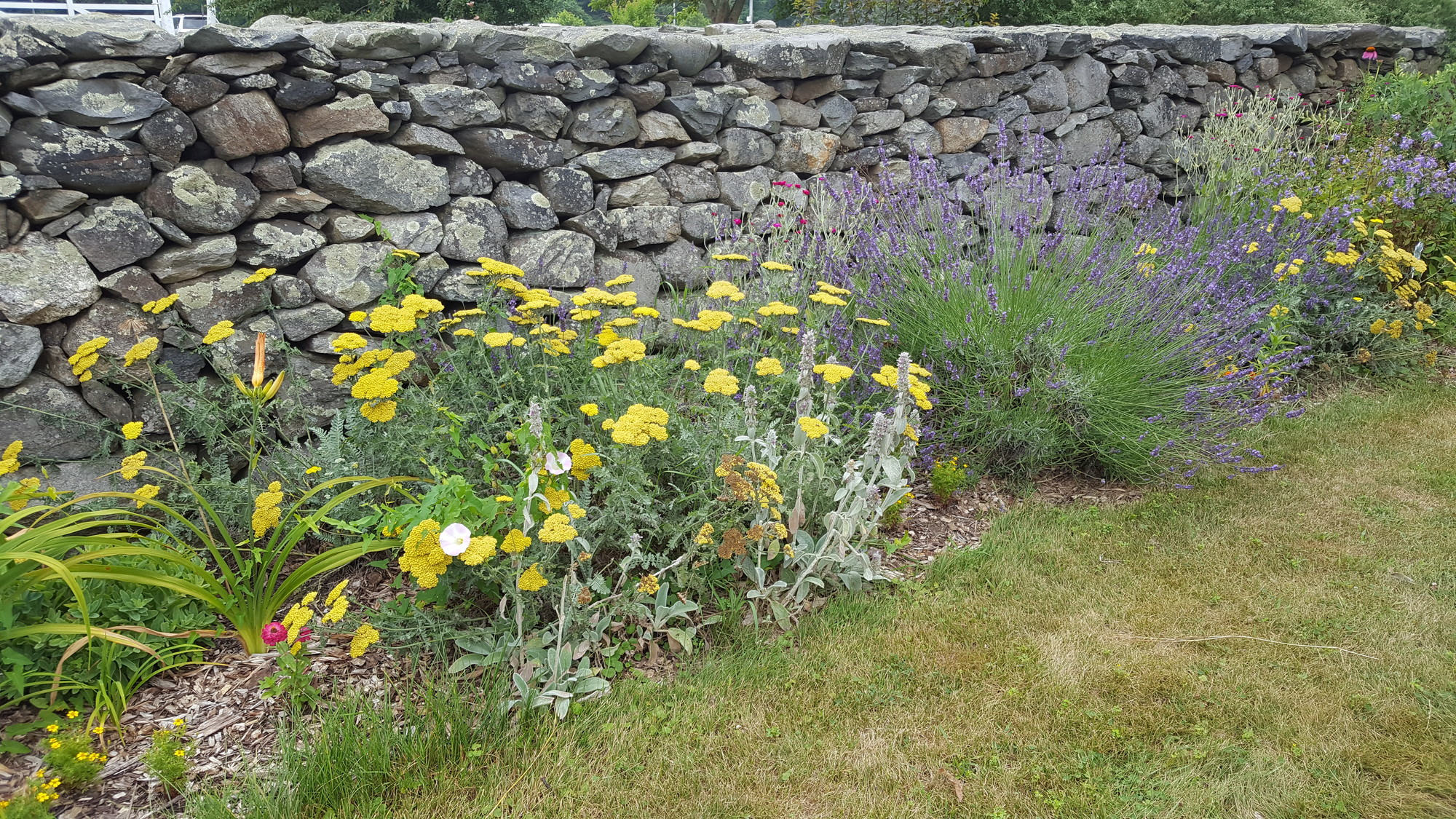 Favorite things: the stone walls at Casey Farm | Historic New England