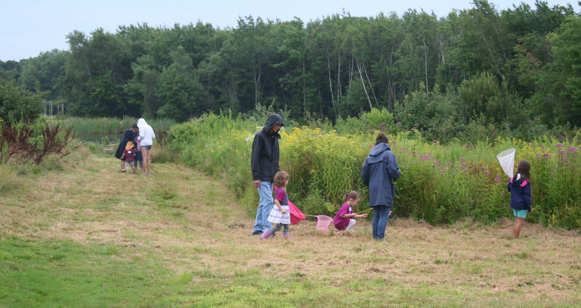 Small children and their caregivers on a bug hunt at Casey Farm